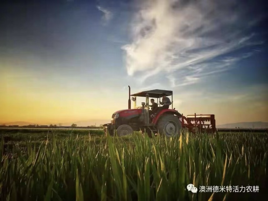 中国绿色有机农场寻访记--黄岩中德农场（下）